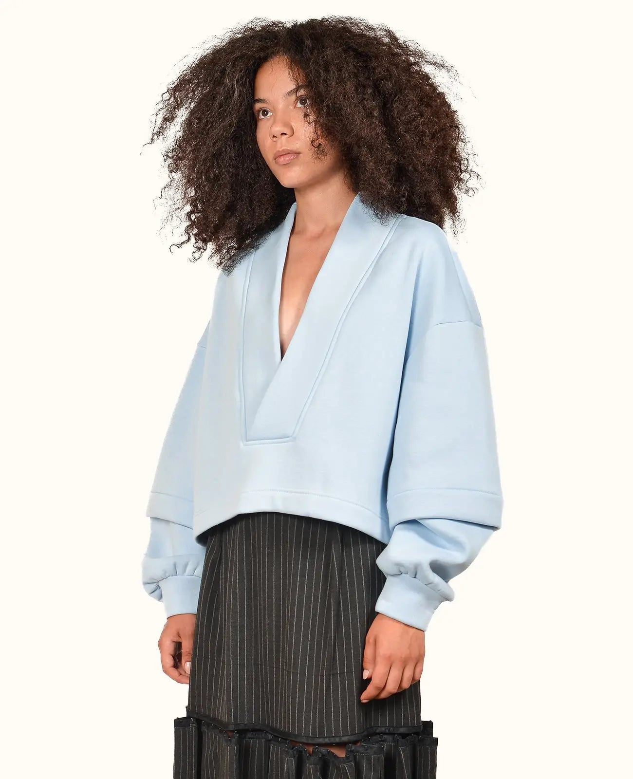 Blue V-Neck Sweatshirt